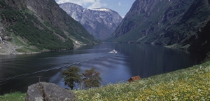 Photo by Frithjof Fure